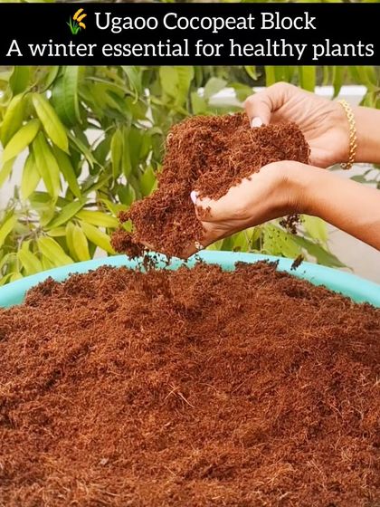 Sushma Reddy - Gardening Product Sourcing & Reviews Soil, Compost & Fertilizers photo 5