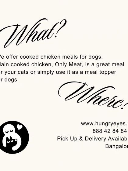Hungry Eyes - Freshly Cooked Dog Meals From Our Kitchen to Your Pup's Bowl photo 7
