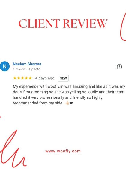 Woofly - At-Home Pet Grooming What Pet Parents Are Saying photo 15