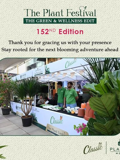 Our Journey and Recognition photo 6