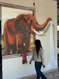 Custom Mural Painting & Wall Art