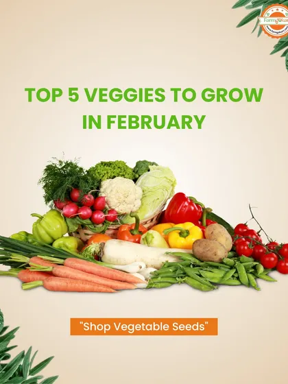 February is a great month for planting! This graphic introduces the top 5 easiest vegetables to grow this month, including tomatoes, spinach, carrots, lettuce, and peas.