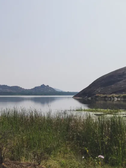 Lalith - Wildlife & Nature Photography My Journey into the Wild photo 6