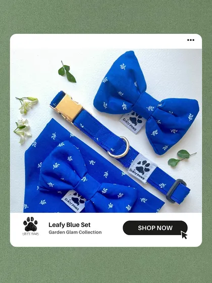 The Leafy Blue set from my Garden Glam collection. This set includes a collar, bandana, and two bows, all in a beautiful royal blue leaf print.