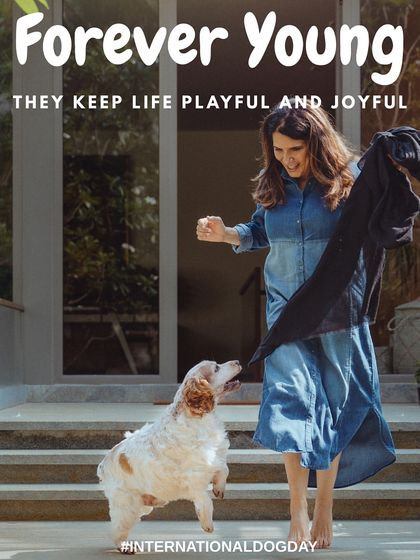 Rohit - Family & Pet Photography Outdoor Adventures photo 25