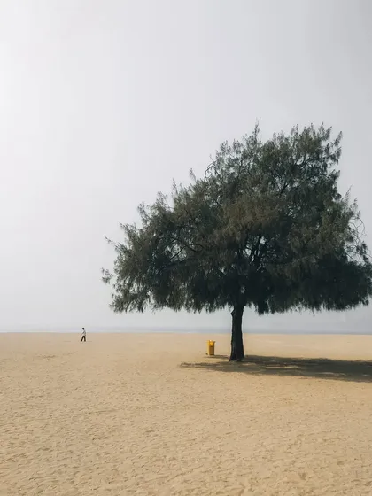 A minimalist beach scene with a single tree and a distant person. The empty space and simple composition evoke a sense of peace, freedom, and the scale of nature.