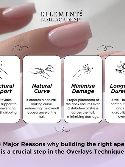This infographic explains the four major reasons why building the right apex is a crucial step. It provides structural support, creates a natural curve, minimizes damage, and ensures durability.