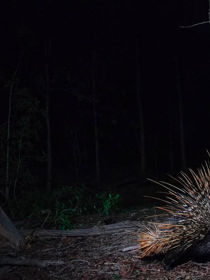 On Safari With Me: Behind the Lens photo 16