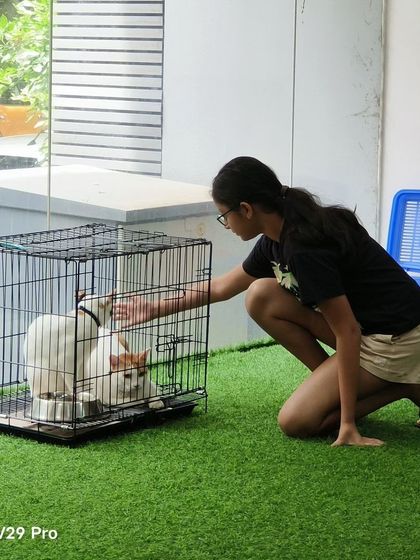 Oh My Dawg - Animal Welfare & Adoption Services Our Adoption Drives photo 58