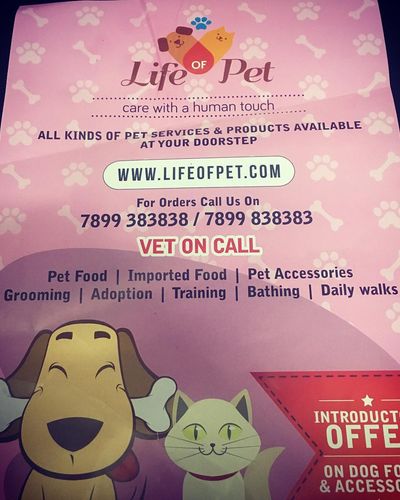Pet Supplies Delivery