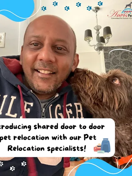 We believe expert pet relocation should be accessible. That's why we introduced our Premium Shared Flights, where one of our specialists accompanies pets on their journey. This service, shown here with one of our happy travelers, offers the same door-to-door premium care at a more affordable, shared cost.