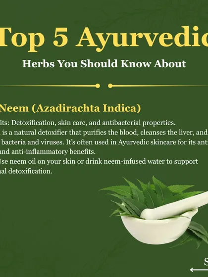 Neem is a natural detoxifier with potent antibacterial properties. It purifies the blood, cleanses the liver, and is excellent for skin care, especially for managing acne, due to its anti inflammatory benefits.