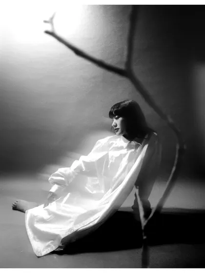 A black and white film photograph from the 'Henna' series. The composition uses a tree branch to cast a strong shadow, creating a moody and atmospheric scene.