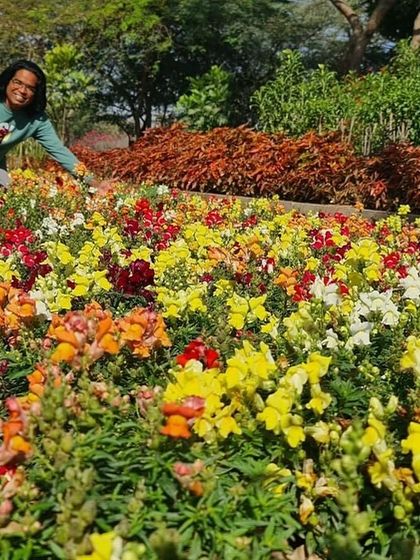 Ratnashri Landscapers - Landscape Design & Build My Journey in Nature photo 20