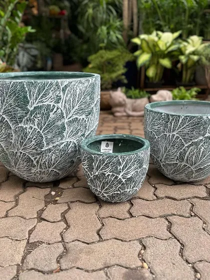 Lightweight, durable, and uniquely designed. These beautiful fiber planters just arrived in the studio, featuring an intricate leaf pattern that adds texture and style to any setting.