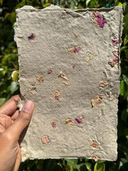 Holding up a single sheet of the rose-infused recycled paper. The natural, rustic texture combined with the delicate petals makes it truly special.