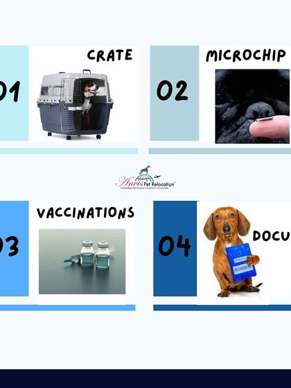 Anvis - Pet Relocation Preparing for Travel: Health, Safety & Documentation photo 5
