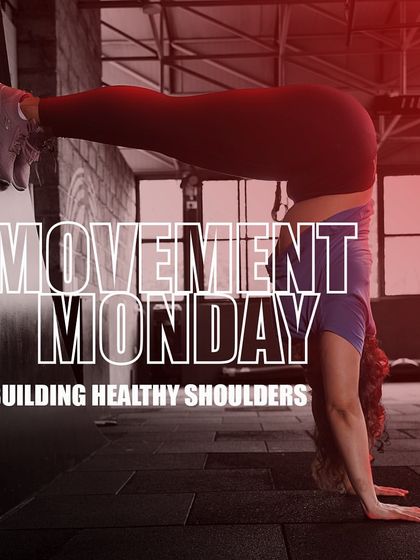 Academy of Strength - Injury Rehabilitation & Corrective Exercise Corrective Exercise Library: Building a Pain-Free Body photo 33