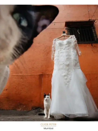 This is another one of my Fearless Award winning images. I love finding unexpected, multi layered moments. Seeing these two cats curiously inspecting the wedding dress against a vibrant Mumbai wall was a moment of pure, unscripted magic that adds a unique layer to the wedding story.