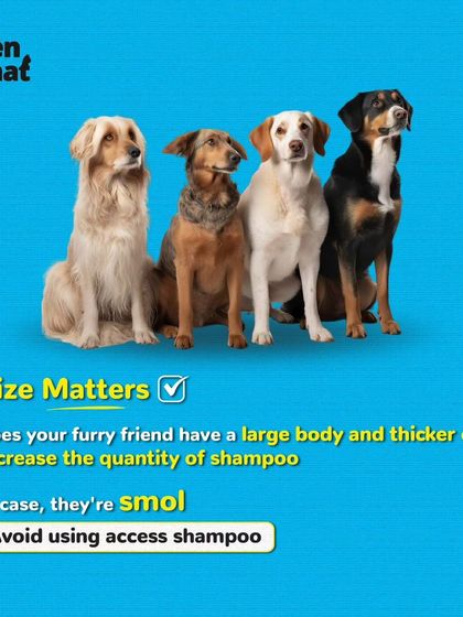 Size matters when it comes to shampoo. We provide tips on how much product to use for your smol or large doggo.