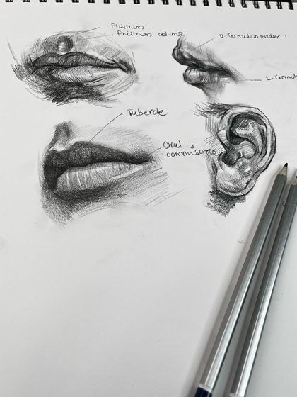The sketchbook page with my graphite pencils, giving a glimpse into the tools I use for my drawings.
