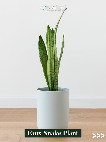 Greenium - Interior Plantscaping & Decor Statement Artificial Trees & Plants photo 8