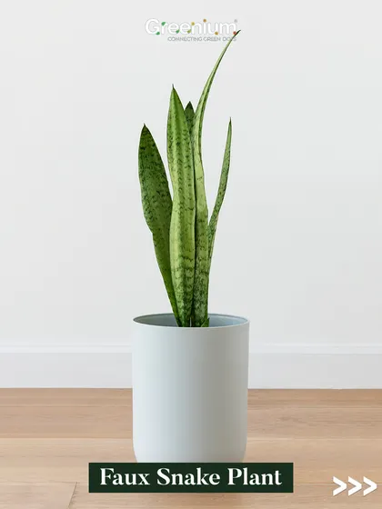 Our faux Snake Plant is the perfect addition to a minimalist or modern interior. Its clean, vertical lines and realistic texture make it a stylish and effortless decor choice for any home or office.