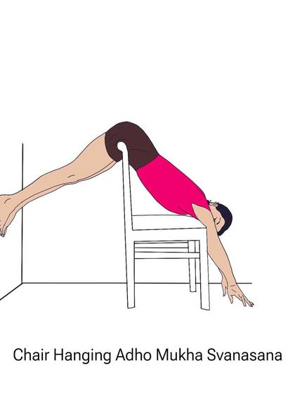 An illustration of Chair Hanging Adho Mukha Svanasana, a powerful traction pose for the spine that can be done at home.