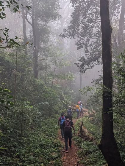 Trekkers walking in a single file line through the dense, foggy woods of Kumaraparvatha. This captures the atmospheric start of the trek.