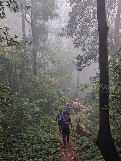 Our group trekking in a single file through the misty and mysterious Shola forests of Kumaraparvatha. This part of the trail is as beautiful as it is challenging.