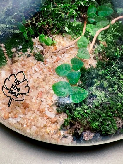 A close-up of the base of the decanter terrarium, showing my "By The Leaf" logo and the intricate layers of moss and plants.