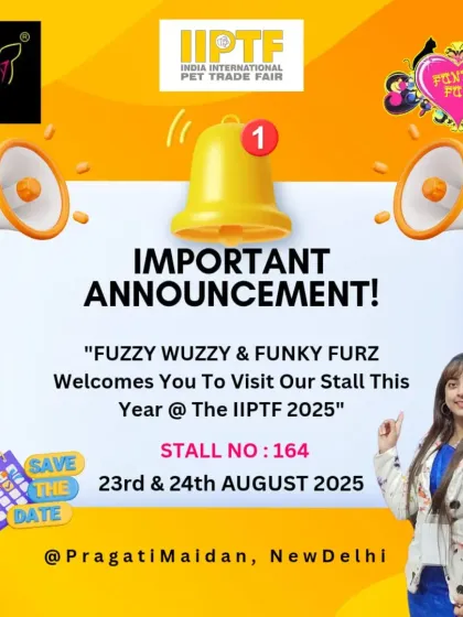 Fuzzy Wuzzy - Pet Grooming & Spa Awards, Events & My Credentials photo 8