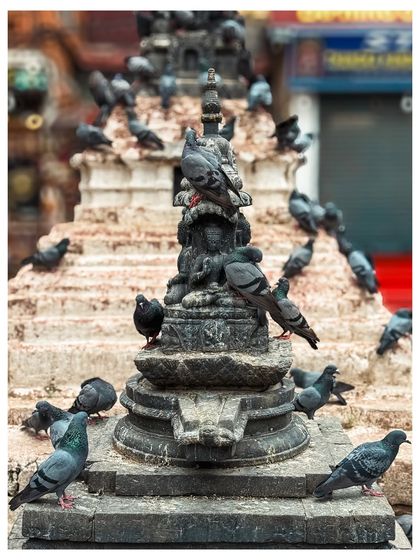 The Kaathe Swayambhu Shree Gha Chaitya stupa in Kathmandu, covered in pigeons. This site serves as a miniature replica for pilgrims who cannot visit the main Swayambhunath Temple.