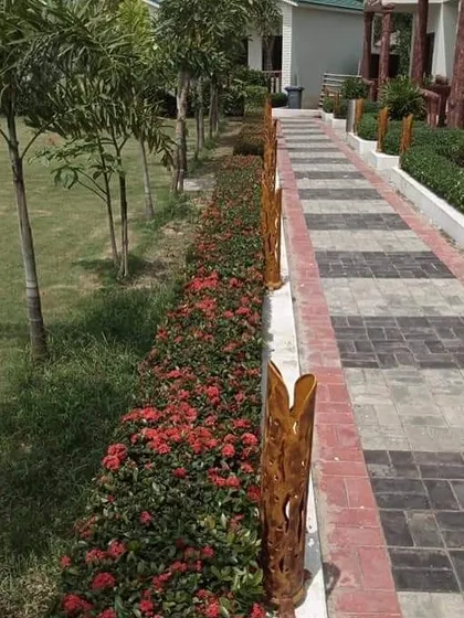 Another view of the pathway with red flowering hedges, showing how it creates a beautiful and defined walkway for guests.