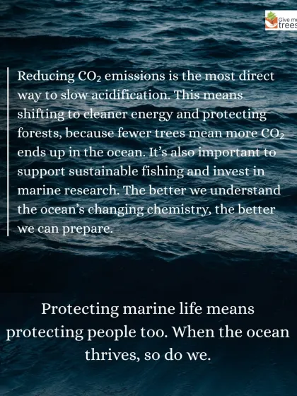 An informational graphic explaining how we can protect marine life. Our educational efforts extend to all parts of the environment, showing how everything is connected.
