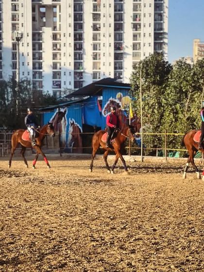 Beginner & Intermediate Lessons photo 3