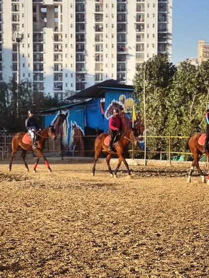 A group of intermediate riders practices together in the arena under the watchful eye of an instructor. Group lessons are a great way to learn and stay motivated.