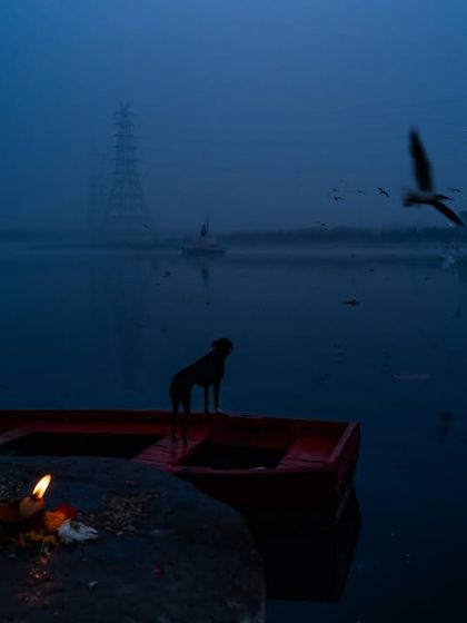 A dog stands guard on a boat at Yamuna Ghat in Delhi, with a single diya burning in the foreground. A quiet, poetic moment before the city wakes up.