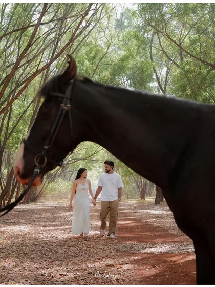 A creative shot where the horse's head frames the couple walking hand-in-hand in the background, adding depth and a unique perspective.