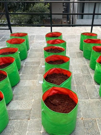 ANZ Landscaping - Terrace & Rooftop Development Vertical Gardens & Custom Planters photo 11