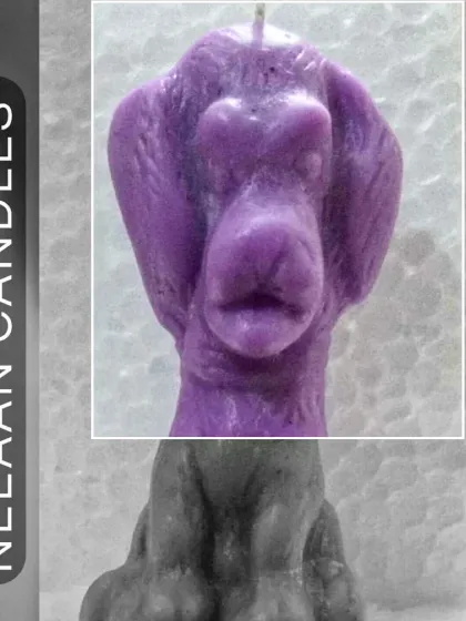 Who let the dogs out? We did, Neeaan style. This purple pup candle is bringing all the charm and the scent.