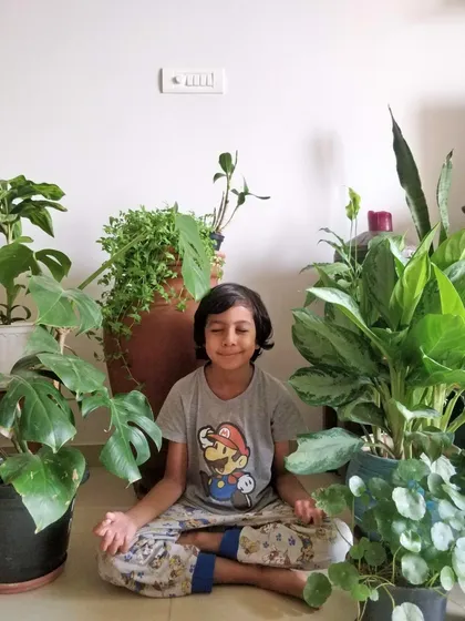 Plants have a wonderful way of bringing peace and tranquility into a home. I love creating indoor plant arrangements with species like monstera, snake plants, and pilea that not only purify the air but also create a calming atmosphere perfect for meditation or quiet time for the whole family.
