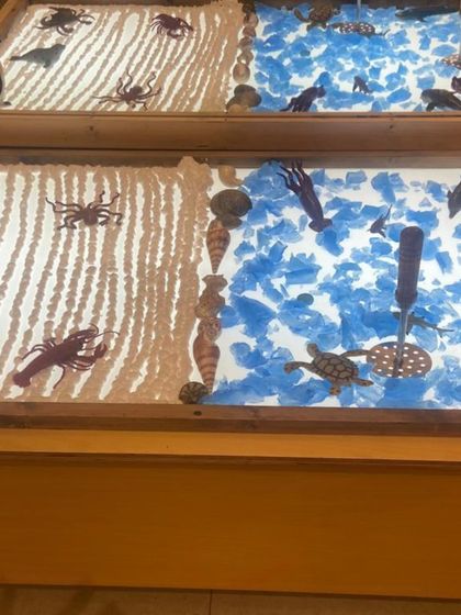 Sand and water, side-by-side on a light table. This classic sensory setup allows children to explore the properties of different materials, comparing textures and observing how light passes through them.