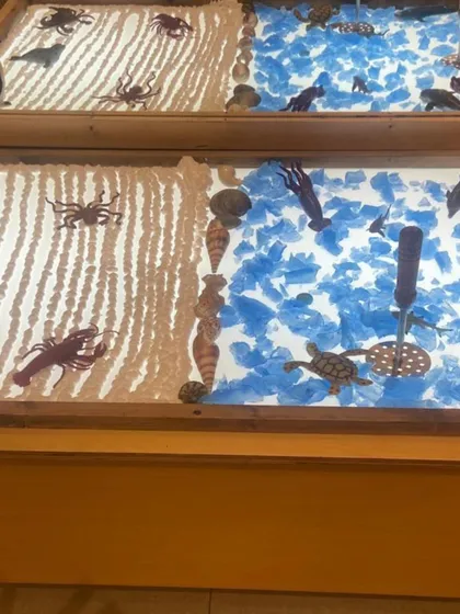 Our light tables are often used to create small worlds. This beach scene, with sand, shells, and blue cellophane for water, allows children to engage in imaginative play while exploring concepts of land and sea.