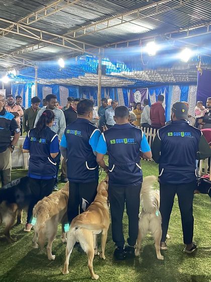 K9 Gurukul - Dog Training for Shows & Media Champions of the Show Ring photo 36