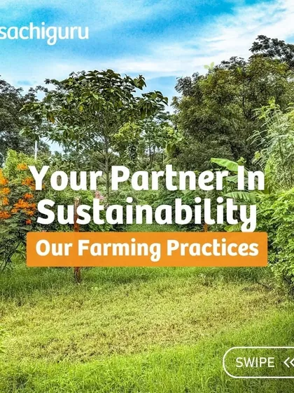 As your partner in sustainability, we use a range of farming practices from rainwater harvesting to no-till farming to create a truly regenerative system.