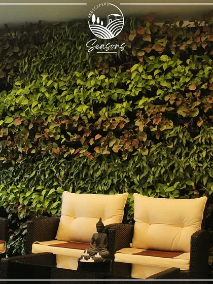 A vertical garden creating a lush green backdrop for an outdoor seating area. This installation transforms a simple wall into a vibrant and inviting feature, making the space feel like a private garden retreat.