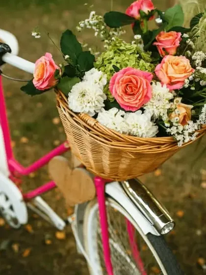 A decorative shot of a bicycle with a basket of flowers, often used as a prop in pre-wedding or wedding decor to add a rustic, charming touch.