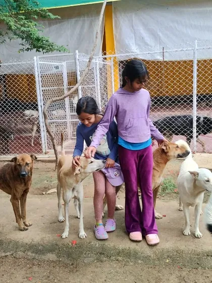 The girls spend time with some of our calmer residents, giving gentle pets and receiving quiet affection in return.