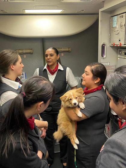 Airport Adventures: Confident & Calm Travels photo 6